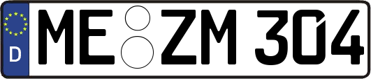 ME-ZM304