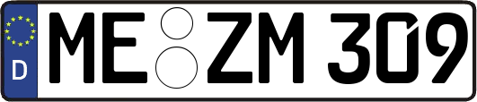 ME-ZM309