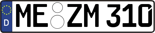 ME-ZM310