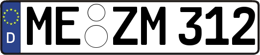 ME-ZM312
