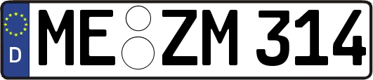 ME-ZM314