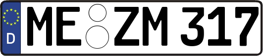 ME-ZM317