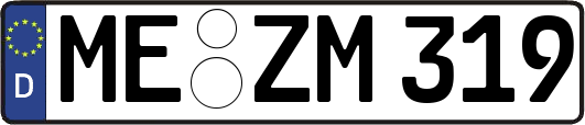 ME-ZM319