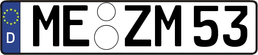 ME-ZM53