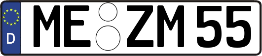 ME-ZM55