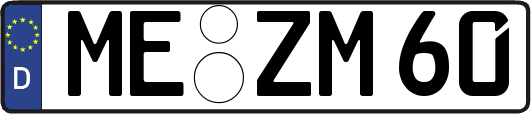 ME-ZM60