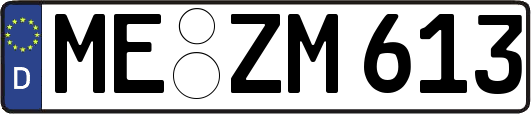 ME-ZM613