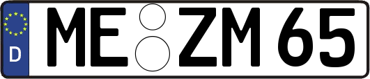 ME-ZM65