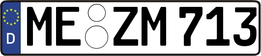 ME-ZM713