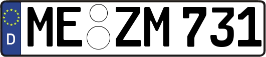 ME-ZM731