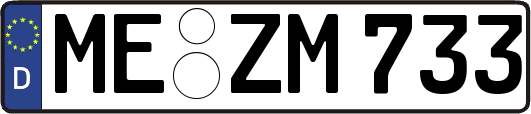 ME-ZM733