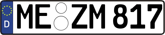 ME-ZM817