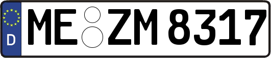 ME-ZM8317