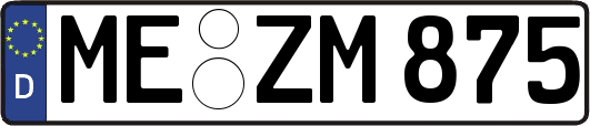 ME-ZM875