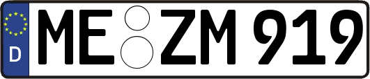 ME-ZM919