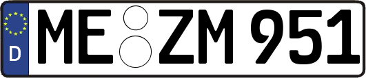 ME-ZM951