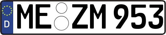 ME-ZM953