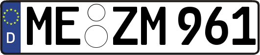 ME-ZM961