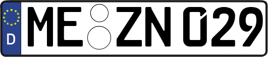 ME-ZN029