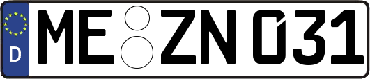 ME-ZN031
