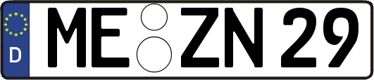 ME-ZN29