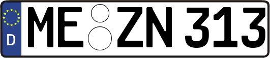 ME-ZN313