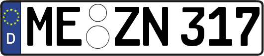ME-ZN317
