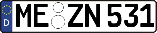 ME-ZN531