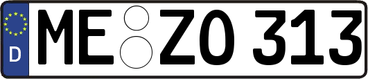 ME-ZO313