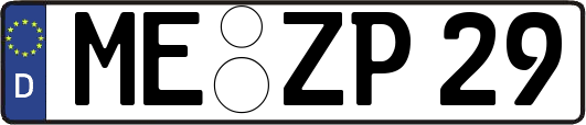 ME-ZP29