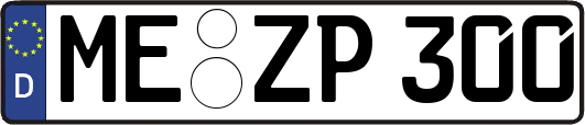 ME-ZP300