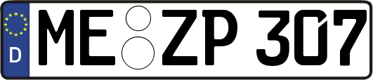 ME-ZP307