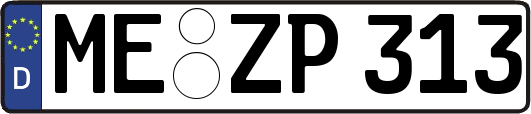 ME-ZP313