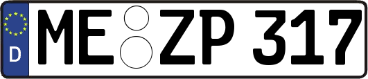 ME-ZP317