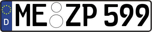 ME-ZP599