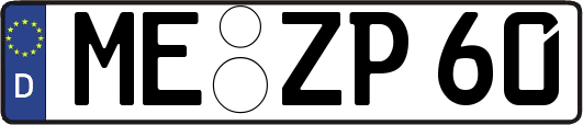 ME-ZP60