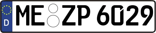 ME-ZP6029