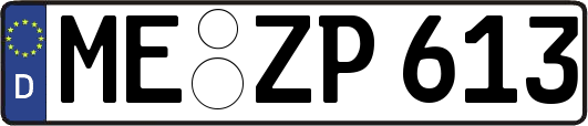 ME-ZP613