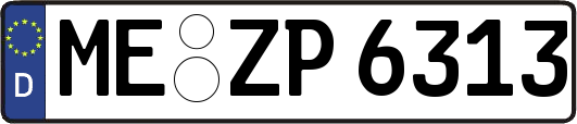 ME-ZP6313