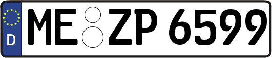 ME-ZP6599
