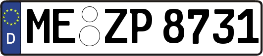 ME-ZP8731