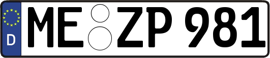 ME-ZP981