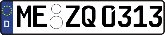 ME-ZQ0313