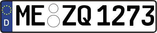 ME-ZQ1273