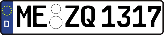 ME-ZQ1317