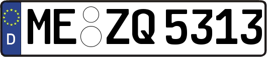 ME-ZQ5313