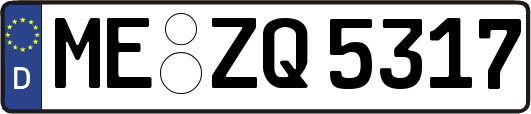 ME-ZQ5317