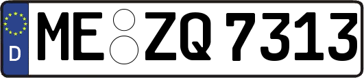 ME-ZQ7313