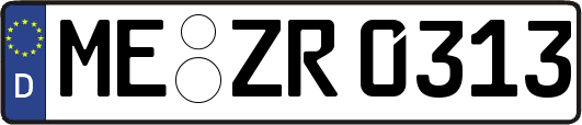 ME-ZR0313