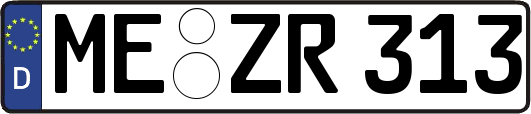 ME-ZR313